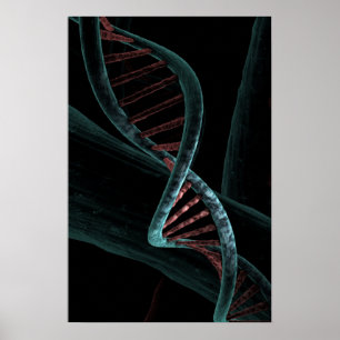 Microscopic Code of Life DNA Double Helix Poster