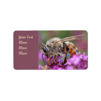 Microscopic Perspective: The Foraging Honeybee Label