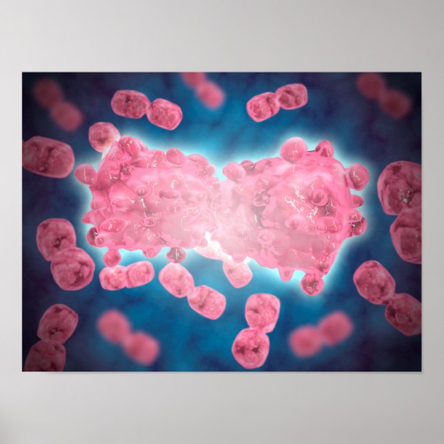 Microscopic View Of A Group Of Leukaemia Cell Poster (Front)