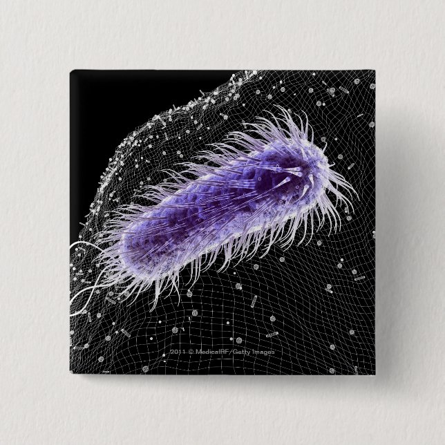 Microscopic view of a helicobacter pylori cell 2 inch square button (Front)