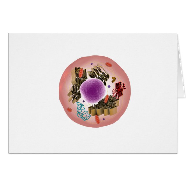 Microscopic View Of Animal Cell 1 (Front Horizontal)
