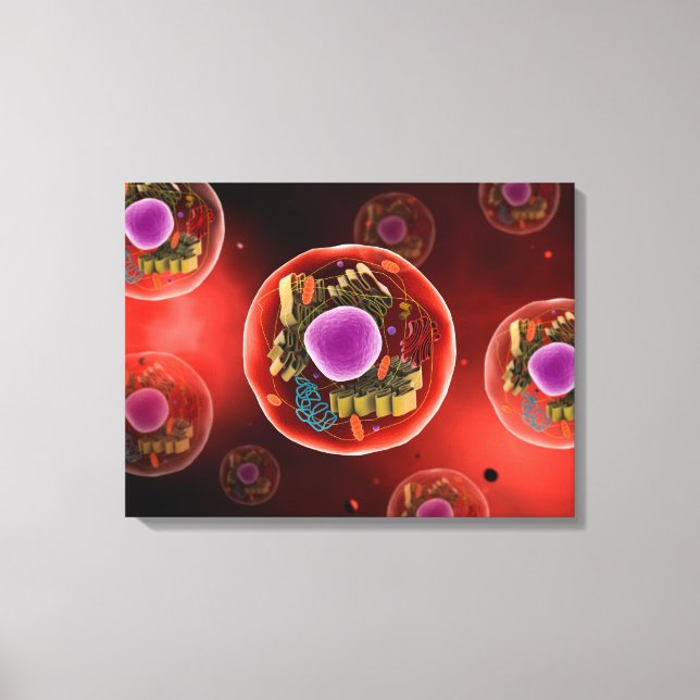 Microscopic View Of Animal Cell 2 Canvas Print (Front)
