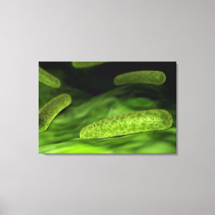 Microscopic View Of Bacteria 1 Canvas Print