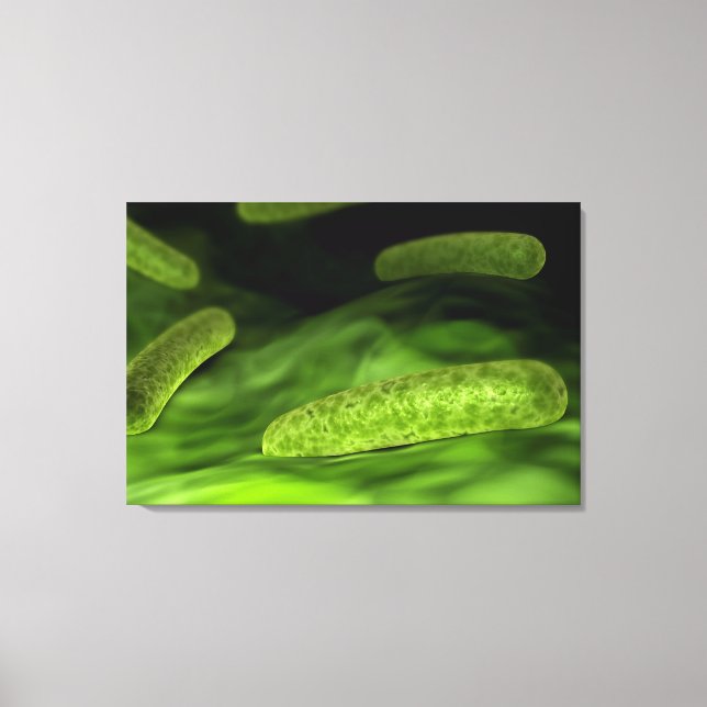 Microscopic View Of Bacteria 1 Canvas Print (Front)