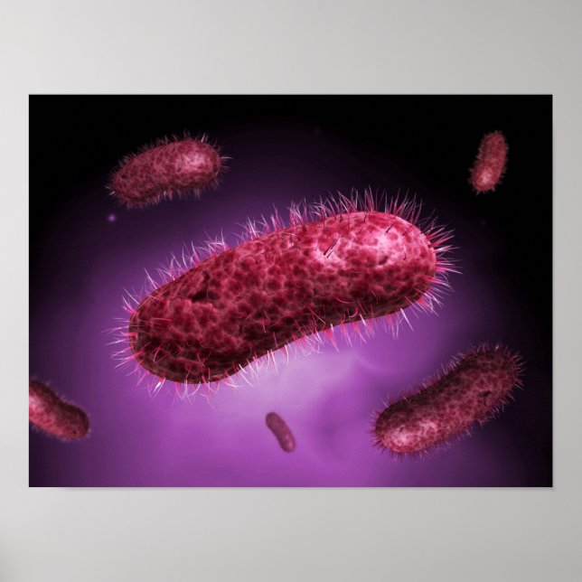 Microscopic View Of Bacteria 2 Poster (Front)