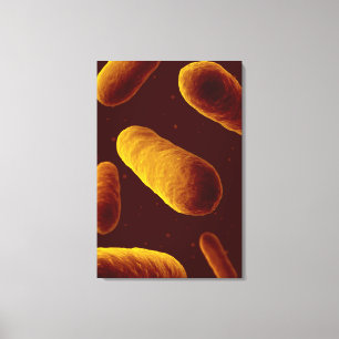 Microscopic View Of Bacteria 3 Canvas Print