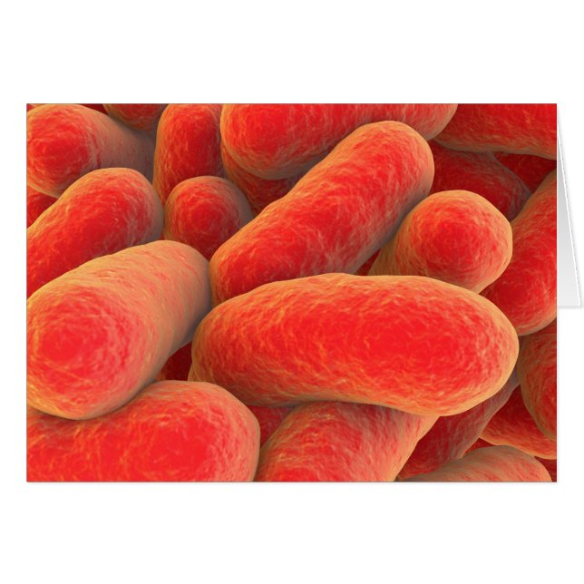 Microscopic View Of Bacteria 4 (Front Horizontal)