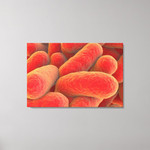 Microscopic View Of Bacteria 4 Canvas Print