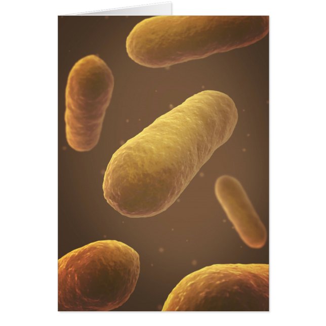 Microscopic View Of Bacteria 5 (Front)