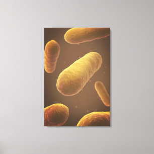 Microscopic View Of Bacteria 5 Canvas Print