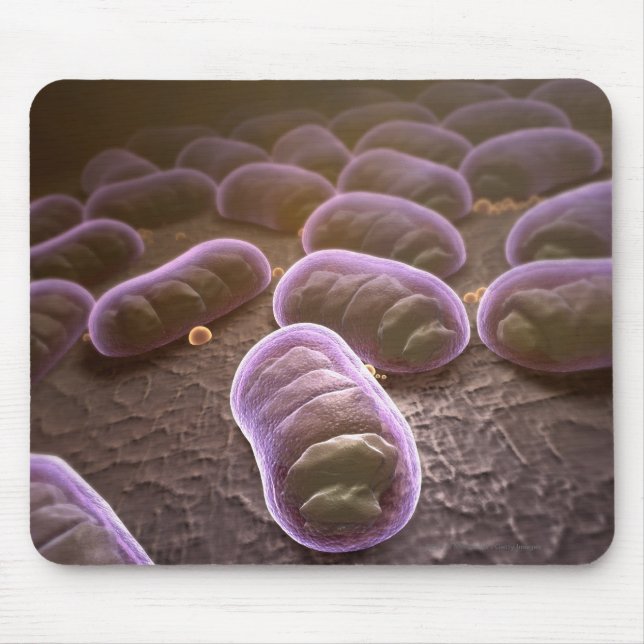 Microscopic view of bacteria mouse pad (Front)