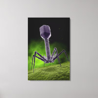 Microscopic View Of Bacteriophage