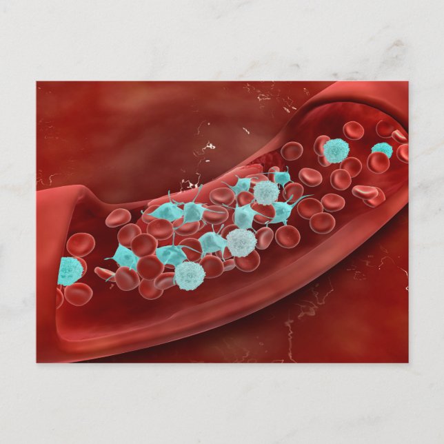 Microscopic View Of Blood Clotting Postcard (Front)