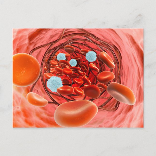 Microscopic View Of Blood Flow Inside An Artery Postcard (Front)