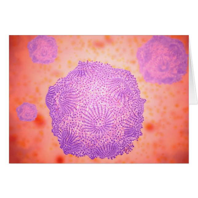 Microscopic View Of Canine Parvovirus 2 (Front Horizontal)