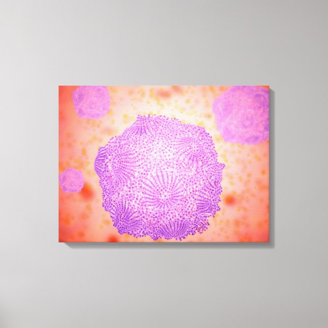 Microscopic View Of Canine Parvovirus 2 Canvas Print (Front)