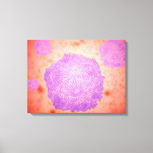 Microscopic View Of Canine Parvovirus 2 Canvas Print