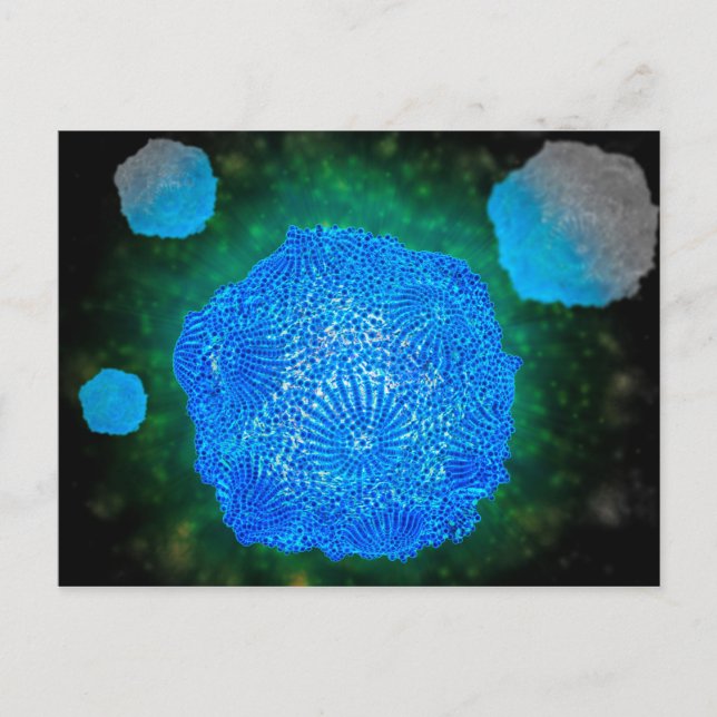 Microscopic View Of Canine Parvovirus 3 Postcard (Front)