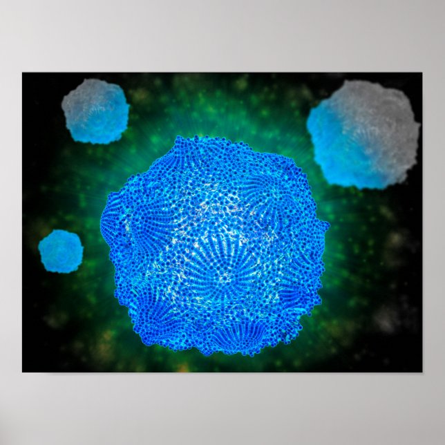 Microscopic View Of Canine Parvovirus 3 Poster (Front)