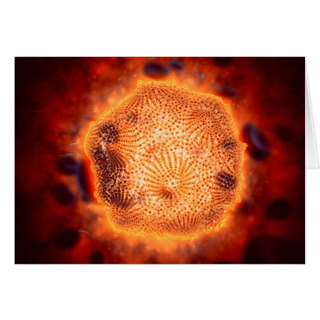 Microscopic View Of Canine Parvovirus 4 (Front Horizontal)