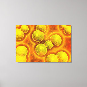 Microscopic View Of Chlamydia Canvas Print