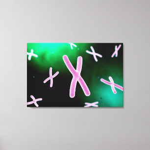 Microscopic View Of Chromosome 2 Canvas Print