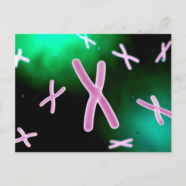 Microscopic View Of Chromosome 2 Postcard (Front)