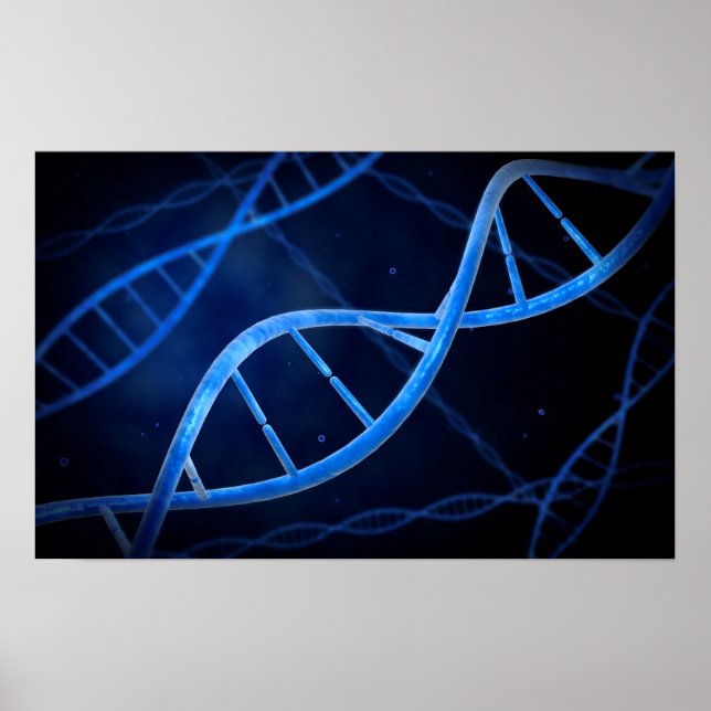 Microscopic View Of DNA Poster (Front)