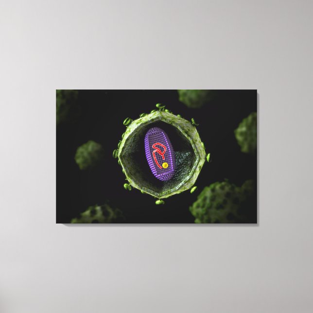 Microscopic View Of HIV Virus, Cross Section Canvas Print (Front)