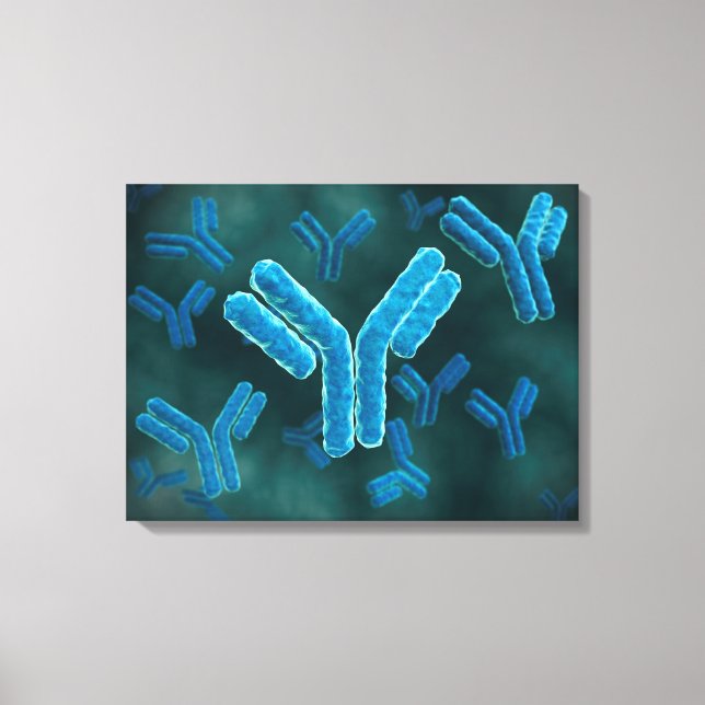 Microscopic View Of Immunoglobulin G Molecules. Canvas Print (Front)