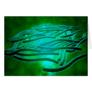 Microscopic View Of Legionella Pneumophila 1