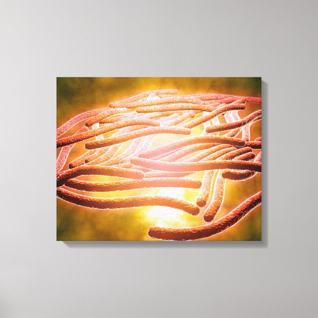 Microscopic View Of Legionella Pneumophila 2 Canvas Print (Front)