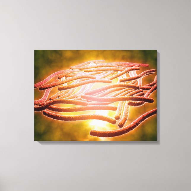 Microscopic View Of Legionella Pneumophila 2 Canvas Print (Front)