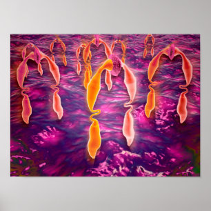 Microscopic View Of Ligand Binding To A Receptor Poster