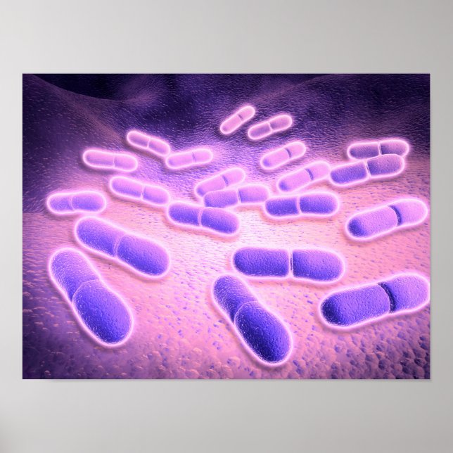 Microscopic View Of Listeria Monocytogenes 2 Poster (Front)