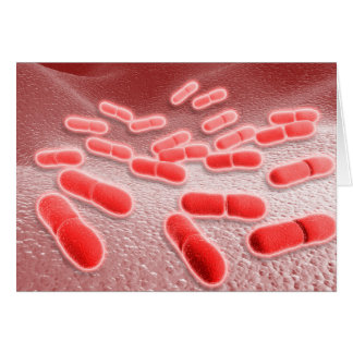 Microscopic View Of Listeria Monocytogenes 4