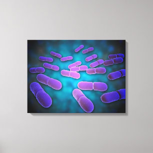 Microscopic View Of Listeria Monocytogenes 5 Canvas Print