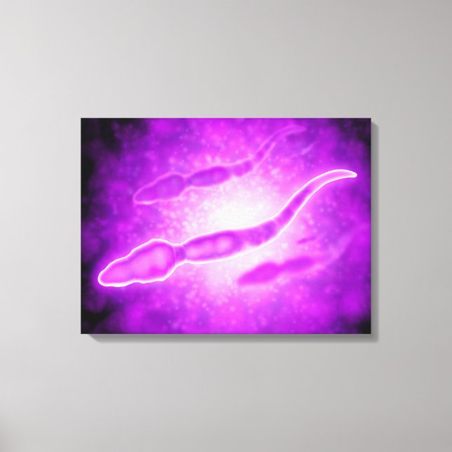 Microscopic View Of Male Sperm Cells Canvas Print (Front)
