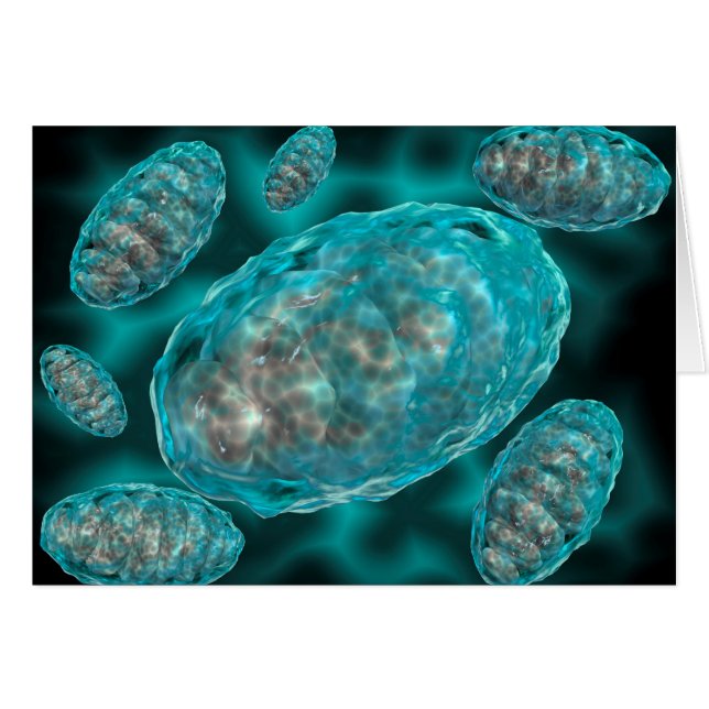 Microscopic View Of Mitochondria 2 (Front Horizontal)