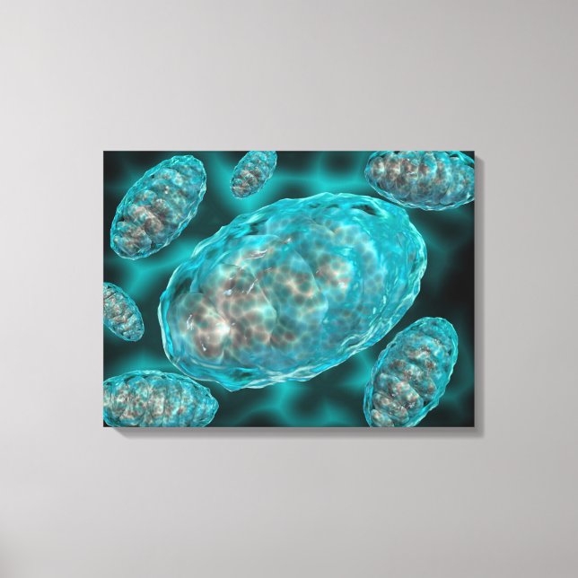 Microscopic View Of Mitochondria 2 Canvas Print (Front)