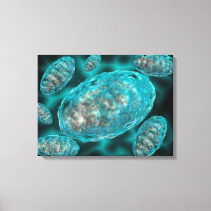 Microscopic View Of Mitochondria 2 Canvas Print