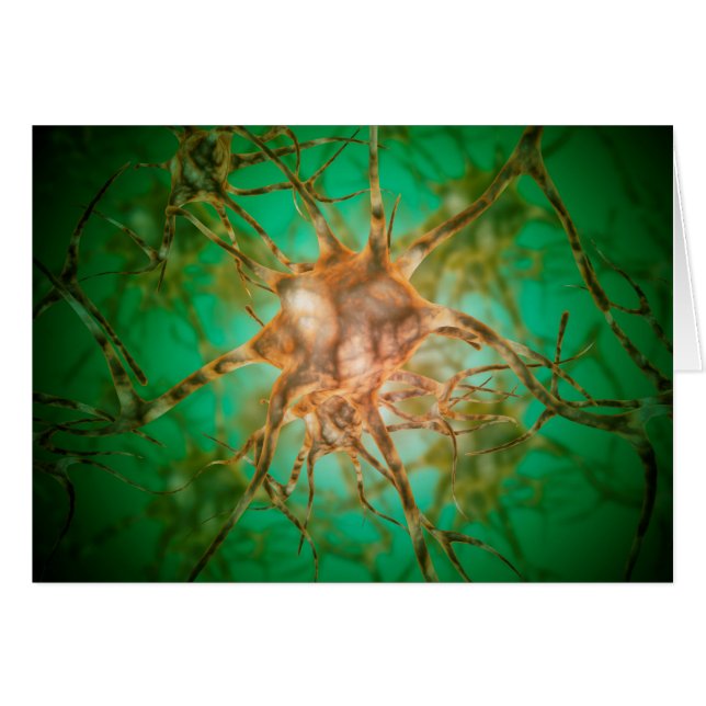 Microscopic View Of Multiple Nerve Cells 1 (Front Horizontal)