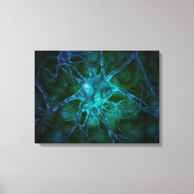 Microscopic View Of Multiple Nerve Cells 2 Canvas Print (Front)