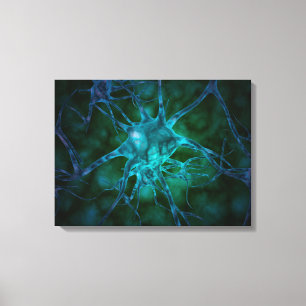 Microscopic View Of Multiple Nerve Cells 2 Canvas Print