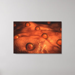 Microscopic View Of Ovules Canvas Print
