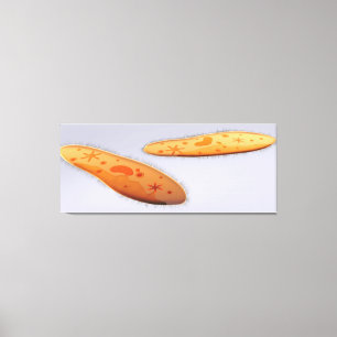 Microscopic View Of Paramecium 4 Canvas Print
