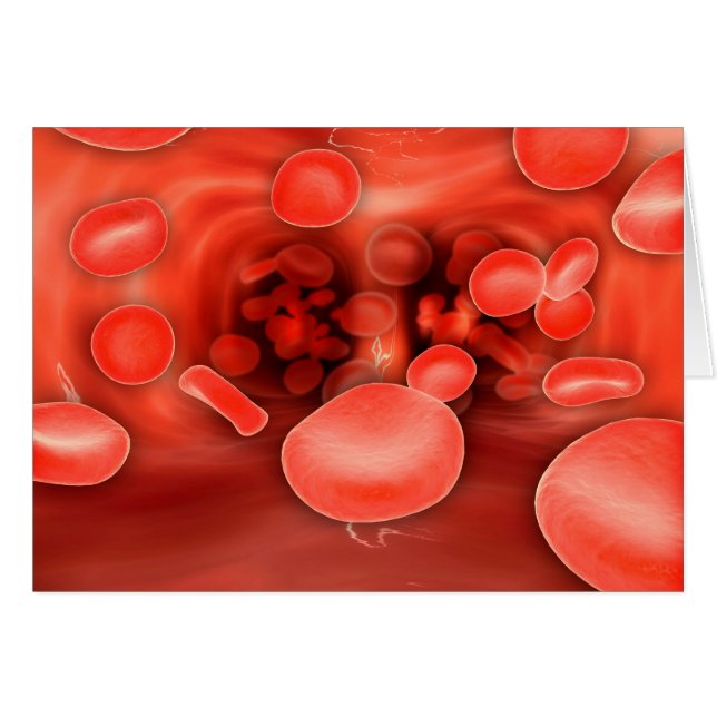 Microscopic View Of Red Blood Cells Flowing (Front Horizontal)
