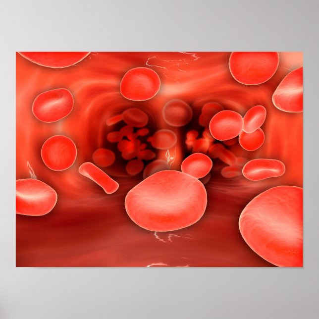 Microscopic View Of Red Blood Cells Flowing Poster (Front)