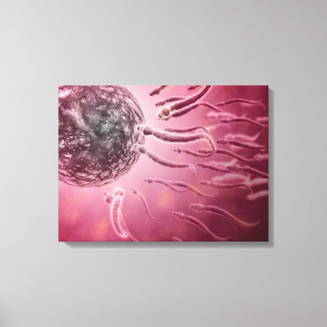Microscopic View Of Sperm Swimming Towards Egg 4 Canvas Print (Front)