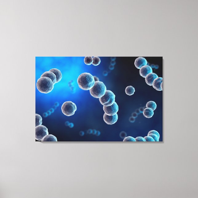 Microscopic View Of Streptococcus 2 Canvas Print (Front)